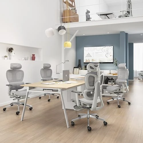 Ergonomic Office Chair with Adjustable Lumbar Support and Seat Depth — Smart Chairs, PatioMage