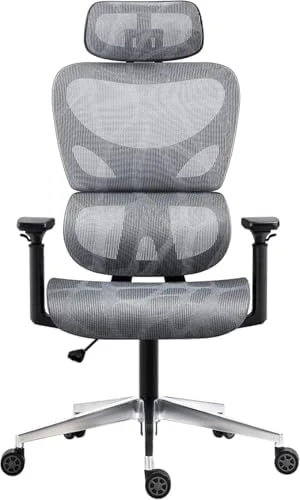 Ergonomic Office Chair with Lumbar Support, Adjustable Armrests, and Headrest — Smart Chairs, Nouhaus
