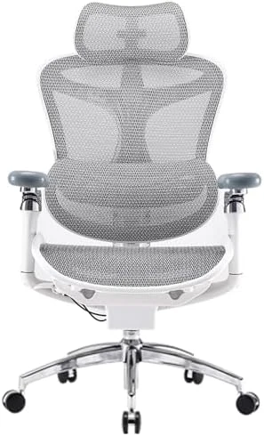 Ergonomic Office Chair with Ultra Soft 3D Armrests and Dynamic Lumbar Support — Smart Chairs, SIHOO