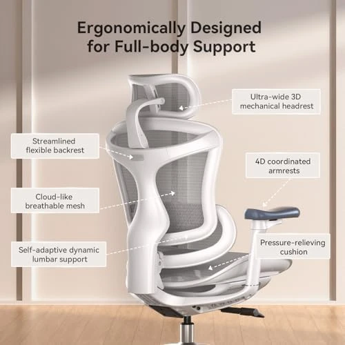 Ergonomic Office Chair with Ultra Soft 3D Armrests and Dynamic Lumbar Support — Smart Chairs, SIHOO