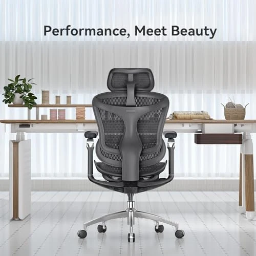 Ergonomic Office Chair with Ultra-Soft 6D Armrests and Dynamic Lumbar Support — Smart Chairs, SIHOO