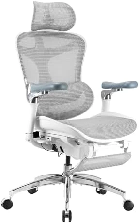 Ergonomic Office Chair with Ultra-Soft 6D Armrests and Dynamic Lumbar Support — Smart Chairs, SIHOO