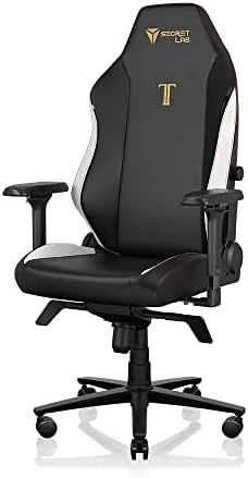 Gaming Chair - Reclining - Ergonomic & Comfortable Computer Chair with 4D Armrests - Magnetic Head Pillow & 4-Way Lumbar... — Smart Chairs, Secretlab