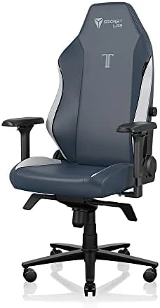 Gaming Chair - Reclining, Ergonomic & Heavy Duty Computer Chair with 4D Armrest, Magnetic Head Pillow & Lumbar Support -... — Smart Chairs, Secretlab