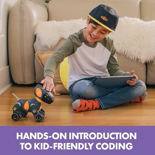 Programmable Coding Robot for Kids — Coding Robot, Educational Insights