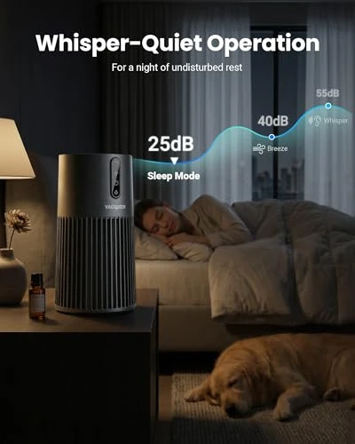 Smart Air Purifier with Timer and Alexa Control — Air Purifier, Vacqueen