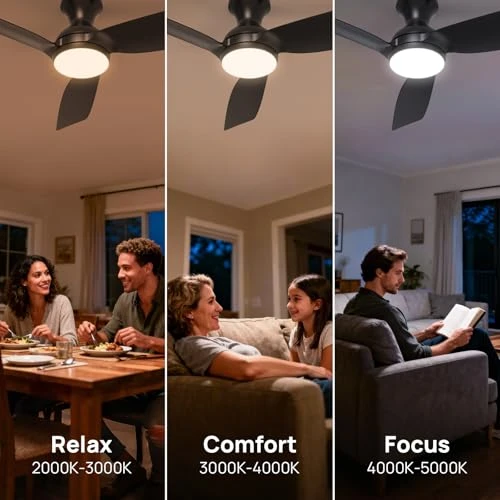 Smart Ceiling Fan with Lights — Smart Fan, Consciot