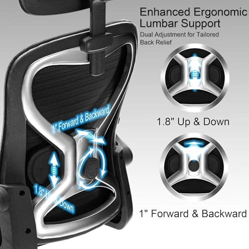 Ergonomic Office Chair with Headrest and Lumbar Support — Smart Chairs, CASASIO