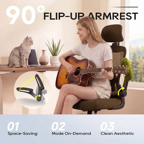 Ergonomic Office Chair — Smart Chairs, Zeonsit