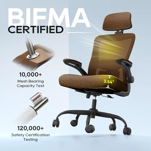 Ergonomic Office Chair — Smart Chairs, Zeonsit