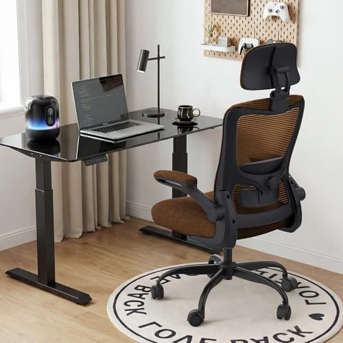 Ergonomic Office Chair — Smart Chairs, Zeonsit