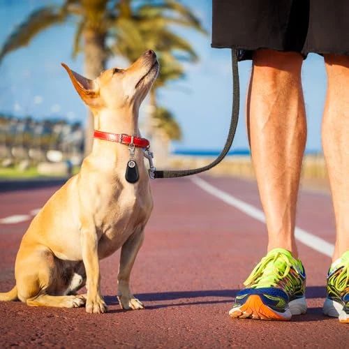 Portable GPS Tracking Anti Loss Smart Device Key Finder Locator — Dog GPS Tracker, Flutesan