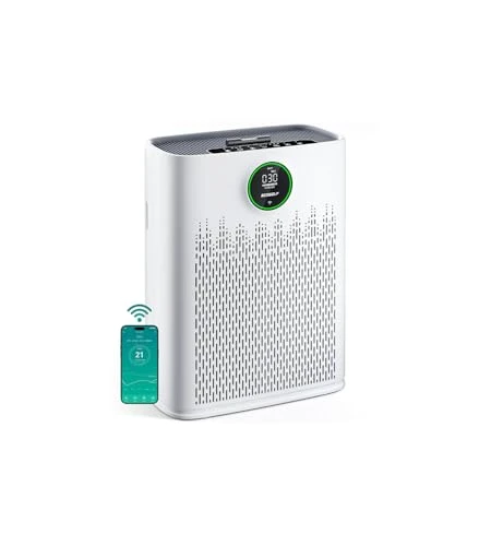 Smart Air Purifier for Large Rooms — Air Purifier, ECOSELF