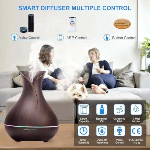 Wireless Essential Oil Aromatherapy Diffuser — Essential Oil Diffuser, Ebooine