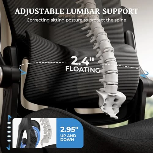 Ergonomic Office Chair with Adjustable Lumbar Support — Smart Chairs, FAMIDOLE