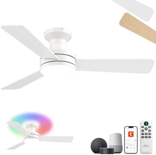 RGB Ceiling Fan with Light — Smart Fan, Homlit