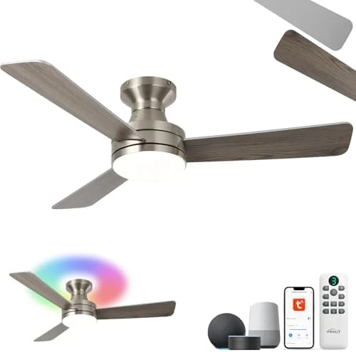 RGB Ceiling Fan with Light — Smart Fan, Homlit