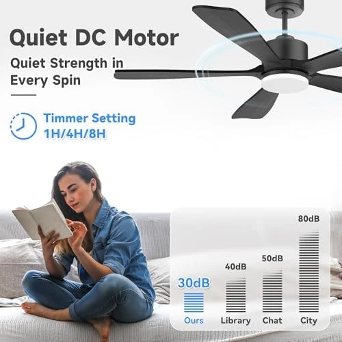 Smart Ceiling Fan with Lights — Smart Fan, GentleBreeze