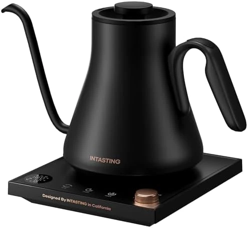 Gooseneck Electric Kettle with Precise Temperature Control — Electric Kettle, INTASTING