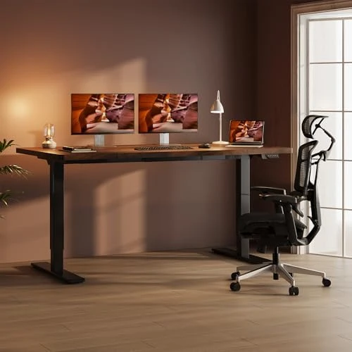 Dual Motor Standing Desk — Standing Desk, FitStand