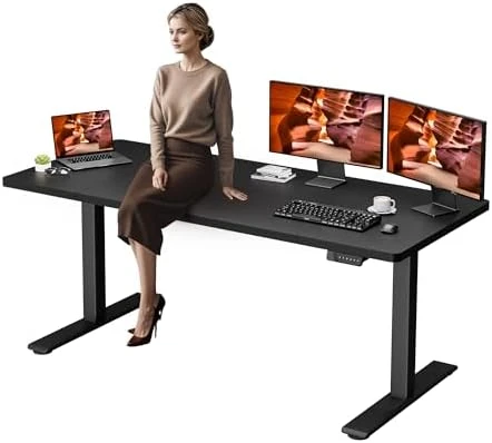 Dual Motor Standing Desk — Standing Desk, FitStand