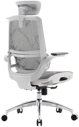 Ergonomic Office Chair with 3D Flip-up Armrests and Dual Back Design — Smart Chairs, SIHOO