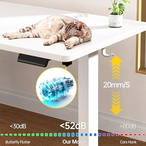 Large Electric Standing Desk — Standing Desk, Veken