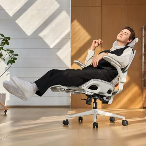 Office Chair, Comfy Ergonomic Office Chair, High Back Computer Chair with Adaptive Lumbar Support & Wide Headrest,... — Smart Chairs, SIHOO