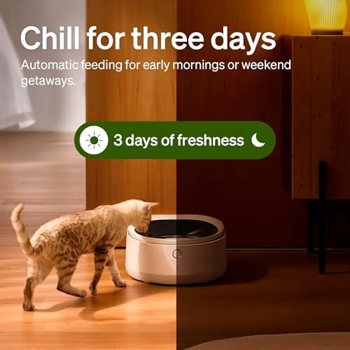 Automatic Cat Feeder for Wet Food — Automatic Pet Feeder, PETLIBRO