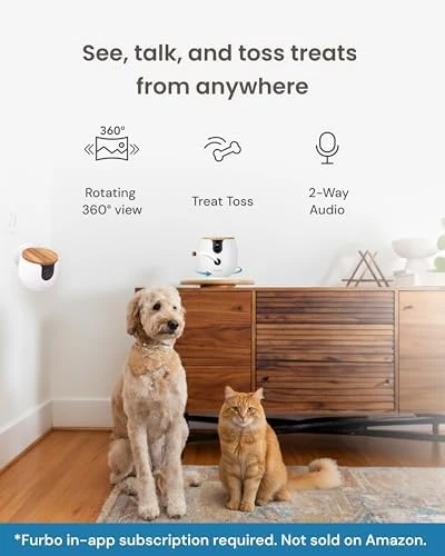 Mini 360° Camera + Mini Cam 2-Camera Bundle — Security Camera, Furbo