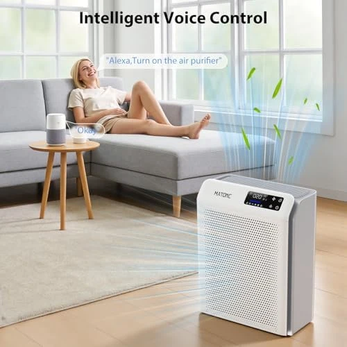 Air Purifier for Large Rooms — Air Purifier, MATONC