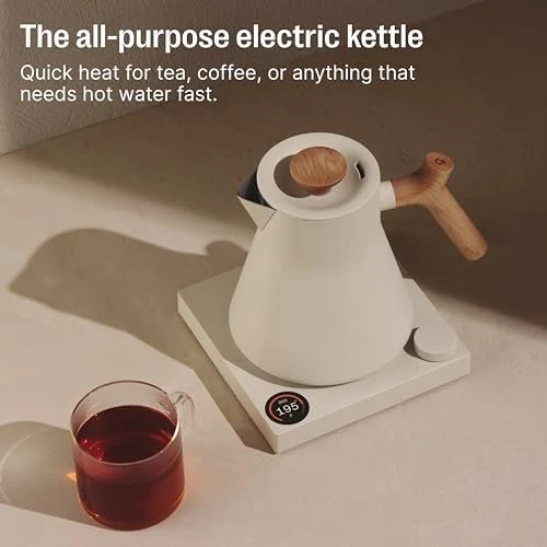 Electric Tea Kettle with Temperature Control and Timer — Electric Kettle, Fellow