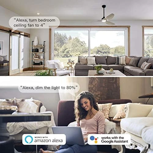 Smart Ceiling Fan Control and Dimmer Light Switch 2-Pack — Smart Switch, TREATLIFE