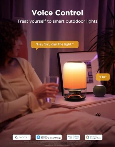 Smart Cordless Table Lamp with Speaker — Desk Lamp, Govee