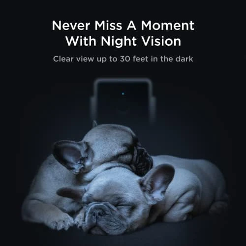 Indoor Wi-Fi Pet and Security Camera — Security Camera, Petcube