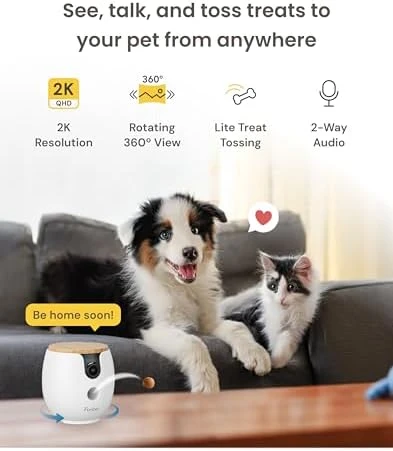 Mini 360° 2K QHD Pet Camera with Power Adapter — Smart Bird Feeder, Furbo