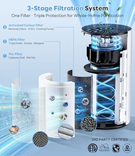 Air Purifier for Large Rooms — Air Purifier, ECOSELF