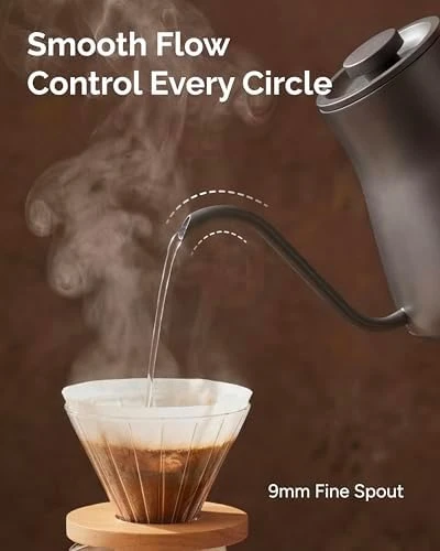 Gooseneck Electric Kettle with Temperature Control — Electric Kettle, INTASTING