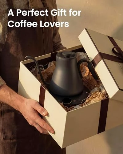 Gooseneck Electric Kettle with Temperature Control — Electric Kettle, INTASTING