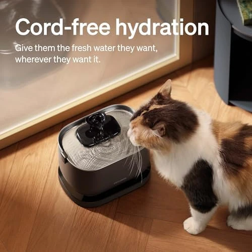 Cordless Cat Water Fountain — Cat Water Fountain, PETLIBRO