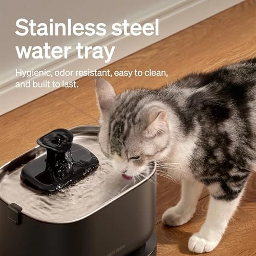 Cordless Cat Water Fountain — Cat Water Fountain, PETLIBRO