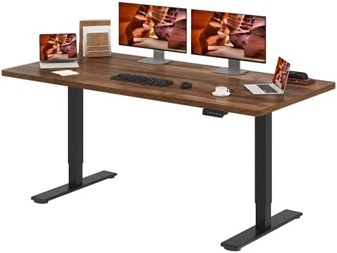 Dual Motor Standing Desk — Standing Desk, FitStand