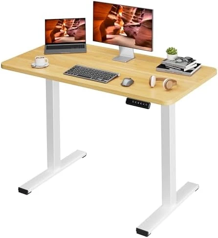 Dual Motor Standing Desk — Standing Desk, FitStand