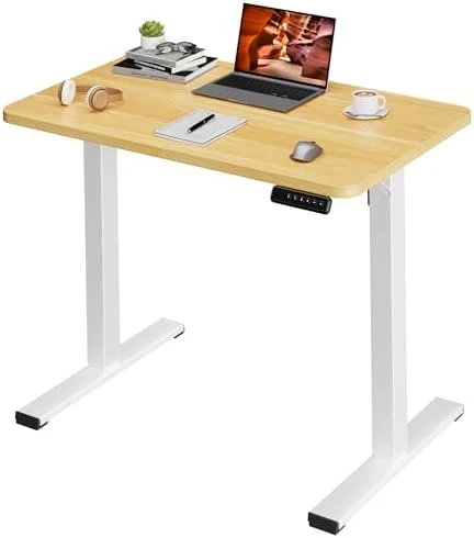 Dual Motor Standing Desk — Standing Desk, FitStand