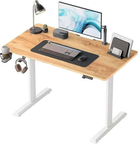 Electric Standing Desk, 48 x 24 Inches Height Adjustable Stand up Desk — Standing Desk, FEZIBO