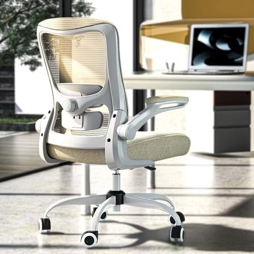 Ergonomic Office Chair - High Back Desk Chair with Adjustable Lumbar Support, Breathable Mesh Back, 330LBS Capacity,... — Smart Chairs, Zeonsit