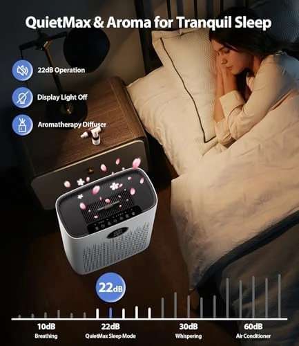 Smart Air Purifier for Large Rooms — Air Purifier, ECOSELF