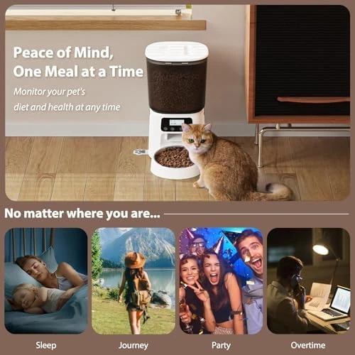Automatic Cat Feeder with Stainless Steel Bowl — Automatic Pet Feeder, Petrice