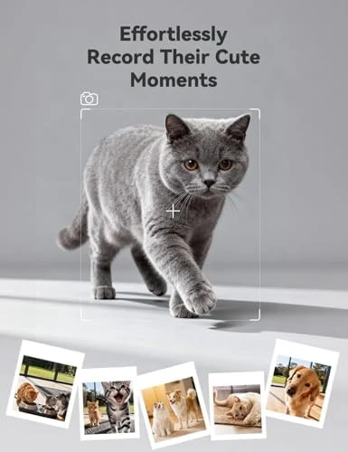 Automatic Pet Feeder with Camera — Automatic Pet Feeder, WOPET
