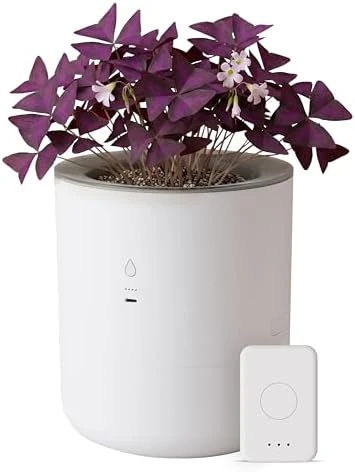 Smart Self Watering Planter with WiFi Bridge & App Control — Indoor Garden, LeafyPod